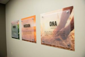 A&L Labs_Wall Graphics
