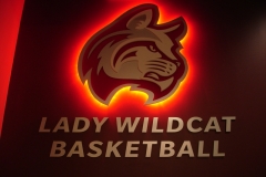 Indiana-Wesleyan-University-Womens-Basketball-Illuminated-Logo